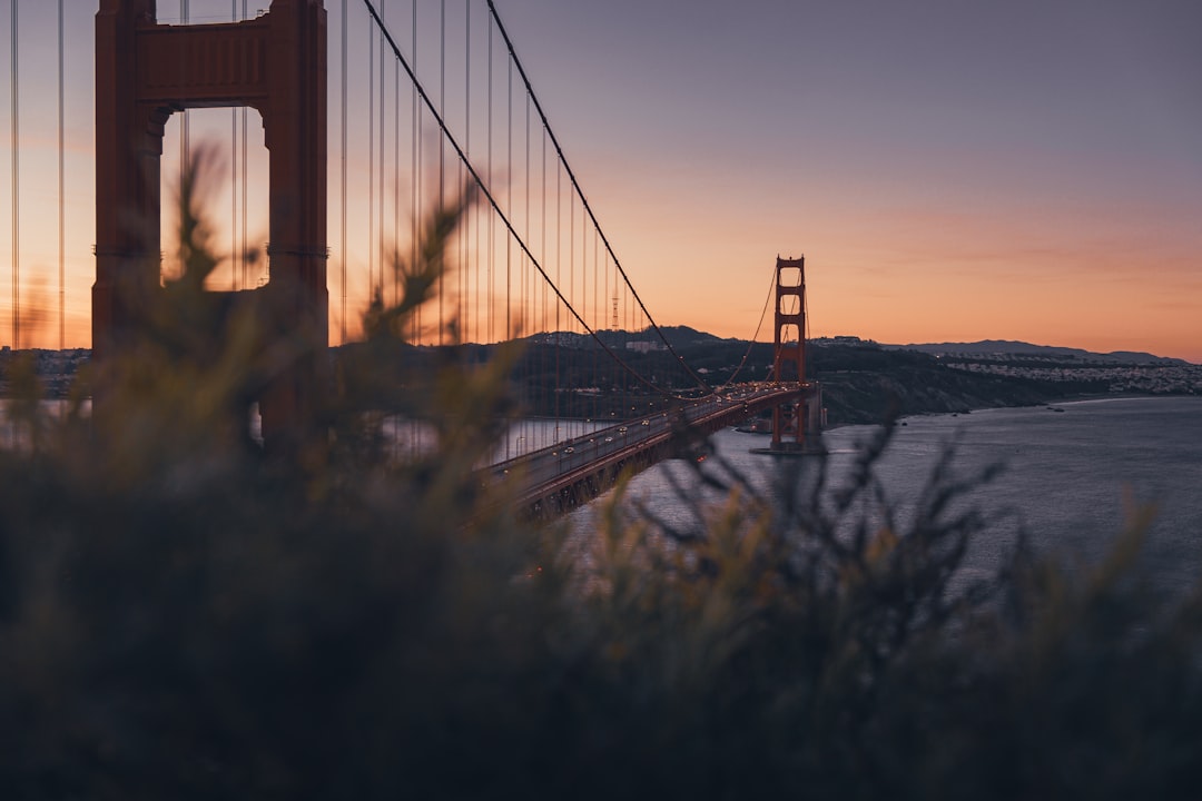 Bay Area content creation