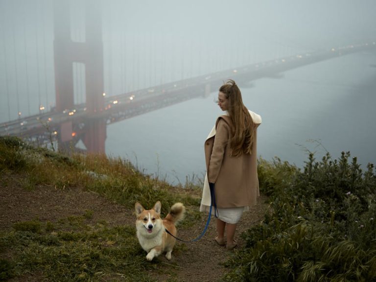 San Francisco content creation