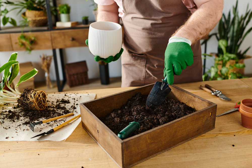Plant shop owner tending plants Plant shop owner potting a plant in a wooden box